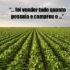 istockphoto-1465642013-612x612